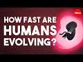 Is human evolution speeding up or slowing down? - Laurence Hurst