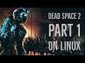 Let's play Dead Space 2 on linux (PART 1)
