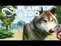 Planet Zoo - Вольер для лютых волков! #10