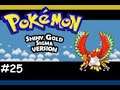 Pokemon Shiny Gold Sigma Version Gameplay Walkthrough #25 - Route 37