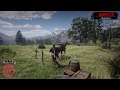 RDR2 Horse Glitch #Shorts