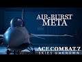 Well, I Found the Meta Pretty Fast (Ace Combat 7 Online)