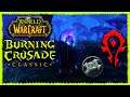 ШП 65-ОГО УРОВНЯ, КУПИЛ 100%-ОГО КОНЯ ► СТРИМ ► World of Warcraft: The Burning Crusade Classic