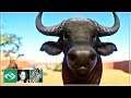 🦓 African Buffalo Habitat | Let's play Planet Zoo BETA Franchise Mode | #8