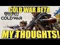 Cold War Beta:My Thoughts!