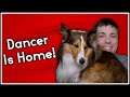 Dancer Is Home! | Dog Pupdate Video | MumblesVideos