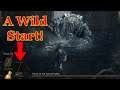 Dark Souls 3 But The Items Are Random & I Have To Equip Everything! Pt1