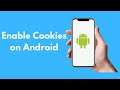 How to Enable Cookies on Android (2021)