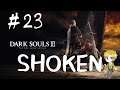 ダクソⅢ#23【DARKSOULSⅢ】