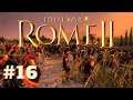 MASSILA GETS SLAPPEDI Total War Rome 2 I (Wars of the Gods #16)