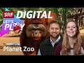 Planet Zoo mit Pascal Marty – Let's Play @ SRF zwei