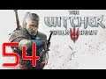 The Witcher 3: Wild Hunt - Part 54
