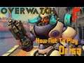 What NOT to do in Overwatch | Orisa Edition