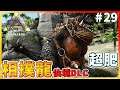 【ARK 方舟生存進化 仙境DLC】生物模組相撲龍！超級肥大既恐龍！#29