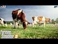 Fazendo A Mistura Perfeita Pra Tratar As Vacas #22 /Farming Simulator 19