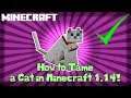 How to Tame a Cat in Minecraft! 1.14
