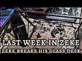 Last Week In Zeke: Zeke breaks his glass desk
