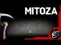 Left or right? - Mitoza