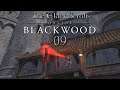 Let's Play ESO - Blackwood [Blind] [Deutsch] Part 09 - Angriff auf Leyawiin