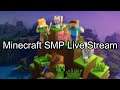 Minecraft Live Stream