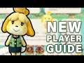 New Player GUIDELINE to ► Animal Crossing: New Horizons