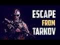 №263 Escape  From Tarkov - Снайпинг - дело тонкое (PULSOID) (2k)
