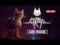 Stray Official Gameplay 1080P 60FPS