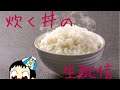 #13(#34)【MHW:IB】昨日寝た分今日は頑張る