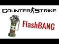 FLASHBANG - Counter-Strike EVOLUTION