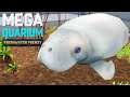 MANATEES IN OUR AQUARIUM! | Megaquarium - Freshwater Frenzy