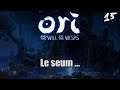 Ori and the Will of the Wisps : Le seum... (15)