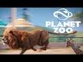 Planet Zoo Beta ★ Der Löwe schläft nur ... ★#01★ PC WQHD Gameplay Deutsch German