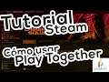 Tutorial: Cómo usar Play Together de Steam | Pixelbits