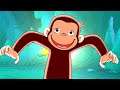 Jorge el Curioso en Español 🐵Miedo a la Oscuridad 🐵 Mono Jorge 🐵 Caricaturas para Niños