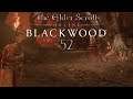 Let's Play ESO - Blackwood [Blind] [Deutsch] Part 52 - Porcixid Again!