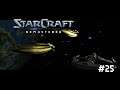 Starcraft:RE | Un clasico en HD Mision 7 "Mundo natal" -Campaña Protoss