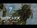 Weirdhans - Let's Play The Witcher 3: Wild Hunt - Part 7 - Devil by the well