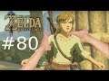 Zelda Breath of the Wild(Switch) # 80 Stinkende Füße