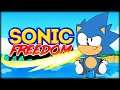 A PLAYABLE CARTOON? | Sonic Freedom | SAGE 2020