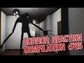 Horror Reaction Compilation 25