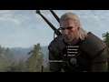 Let's Play The Witcher 3 Wild Hunt Ps4 Part 2 The Beast Of The White Orchard