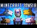 Minecraft Snapshot 20w51a : Axolotl !!