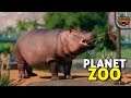 Os hipopótamos das perninhas | Planet Zoo #11 - Sandbox Gameplay PT-BR