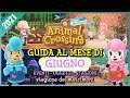 TUTTO SU GIUGNO 2021 (stagione dei matrimoni, oggetti, eventi) | Animal Crossing New Horizons!