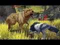 Wolf Tales Home and Heart GAME Play MMO-RAW