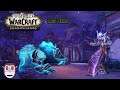 Let's Play World of Warcraft: SL Nachtgeborener Krieger 50-60 [Deutsch] #40 Das Herz