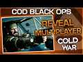 NUOVO COMBACT PACK GRATIS PS4, ORARIO REVEAL MULTIPLAYER BLACK OPS COLD WAR E PRIME SCORESTREAKS