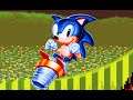 Sonic 2 Chaos Adventure (Sonic Hack)