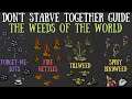 The 4 Types Of Weeds & What They Do - Reap What You Sow Update - Don't Starve Together Guide