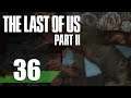 The Last of Us Part 2 | 36 | "From The Shadows"